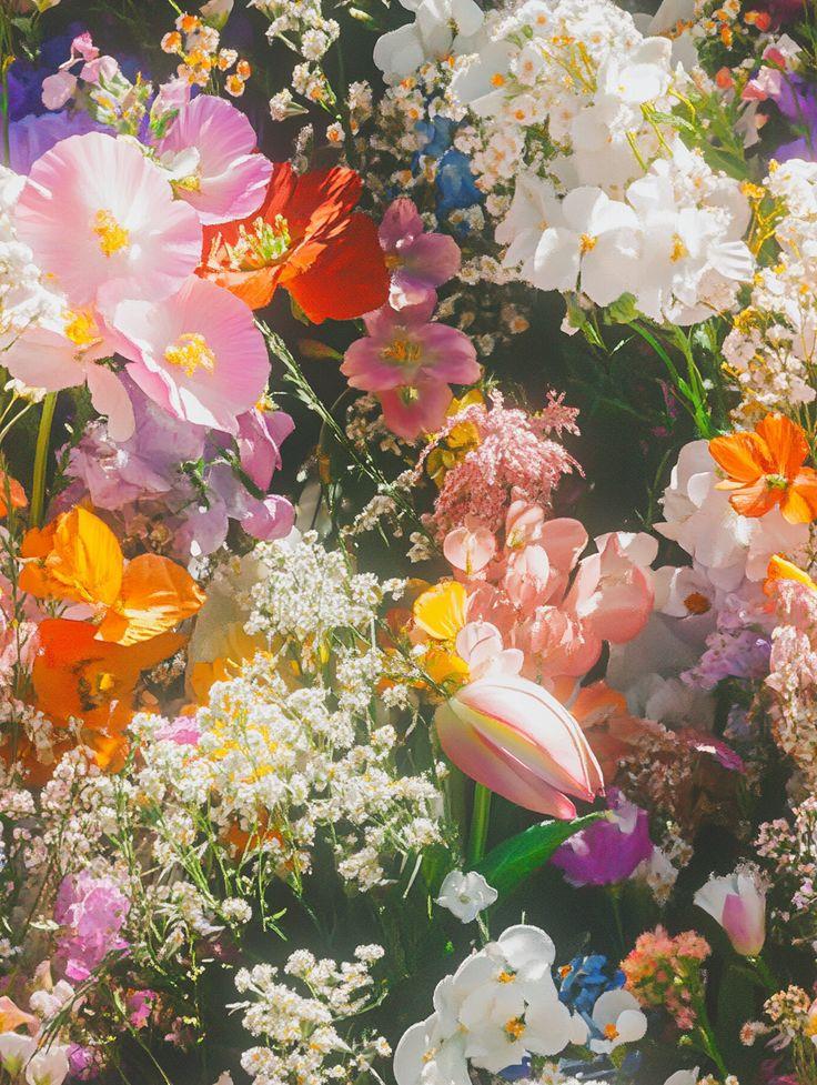 Corporate meeting room with carefully timed floral arrangements that maintain elegance throughout business hours